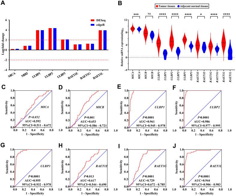 https://cdn.ncbi.nlm.nih.gov/pmc/blobs/eb67/8148460/6e16109d6cc2/aging-13-202935-g001.jpg