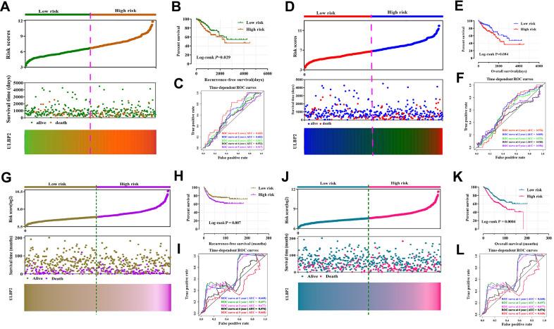 https://cdn.ncbi.nlm.nih.gov/pmc/blobs/eb67/8148460/91a30c33205d/aging-13-202935-g003.jpg