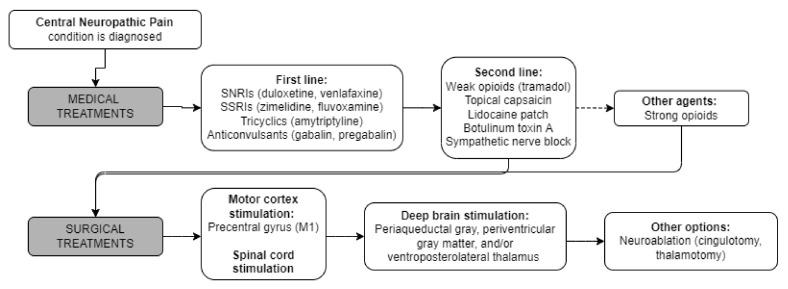 https://cdn.ncbi.nlm.nih.gov/pmc/blobs/eb7b/9775950/bea2482c24b2/brainsci-12-01727-g001.jpg