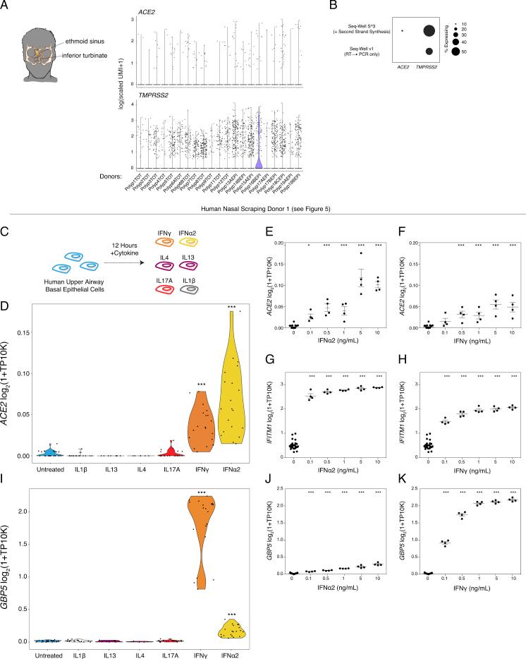 https://cdn.ncbi.nlm.nih.gov/pmc/blobs/eb8c/7264711/d484fbdf5118/figs3.jpg