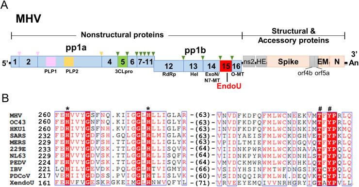 https://cdn.ncbi.nlm.nih.gov/pmc/blobs/eb98/7112018/2bedc54468e4/gr1_lrg.jpg