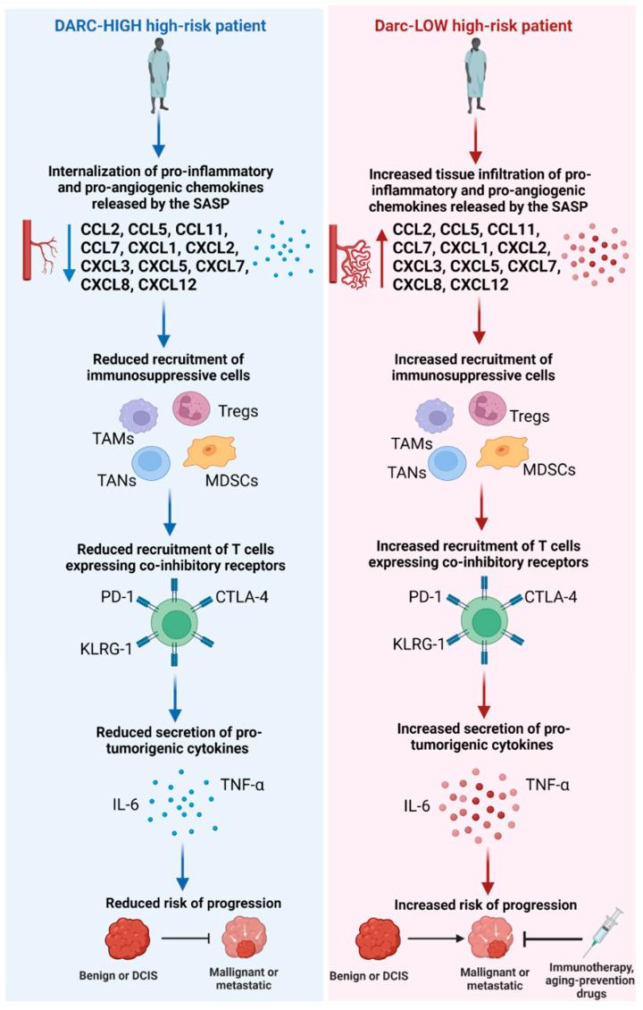 https://cdn.ncbi.nlm.nih.gov/pmc/blobs/ec01/9740232/779c10a8a6d6/cells-11-03818-g001.jpg