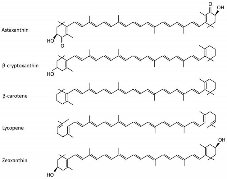 https://cdn.ncbi.nlm.nih.gov/pmc/blobs/ec12/7696511/8d9d9c07a538/molecules-25-05342-g001.jpg
