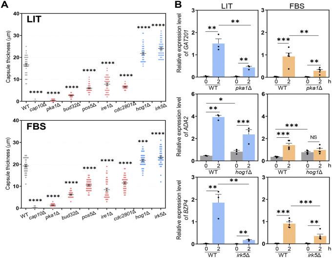https://cdn.ncbi.nlm.nih.gov/pmc/blobs/ec58/9769619/c040551f90eb/spectrum.02866-22-f005.jpg