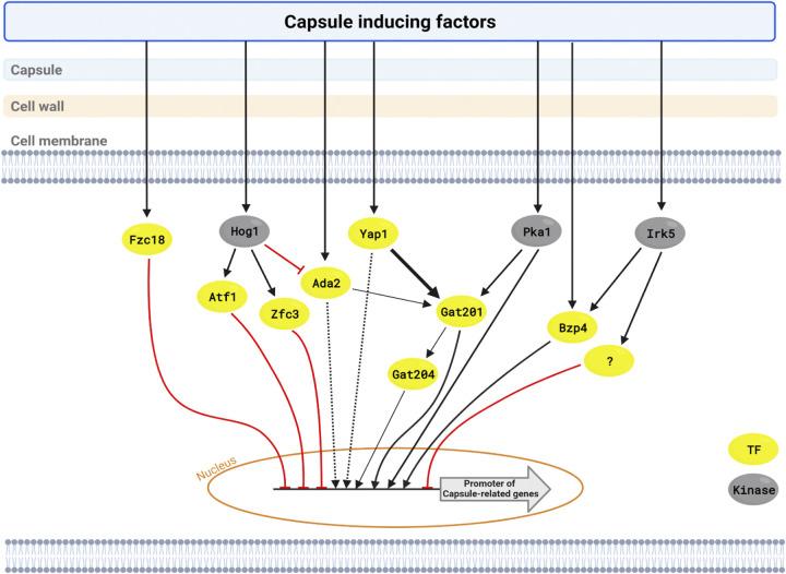 https://cdn.ncbi.nlm.nih.gov/pmc/blobs/ec58/9769619/e91c6d582d37/spectrum.02866-22-f008.jpg