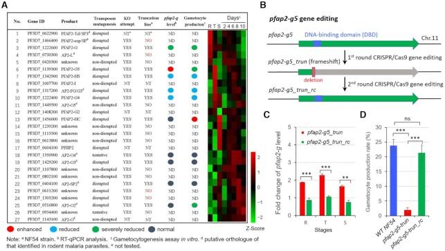 https://cdn.ncbi.nlm.nih.gov/pmc/blobs/ec76/8450074/88968a62fabf/gkab683fig1.jpg