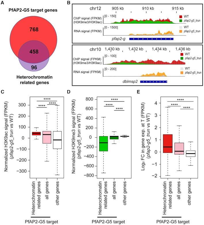 https://cdn.ncbi.nlm.nih.gov/pmc/blobs/ec76/8450074/8dd45a880c41/gkab683fig4.jpg