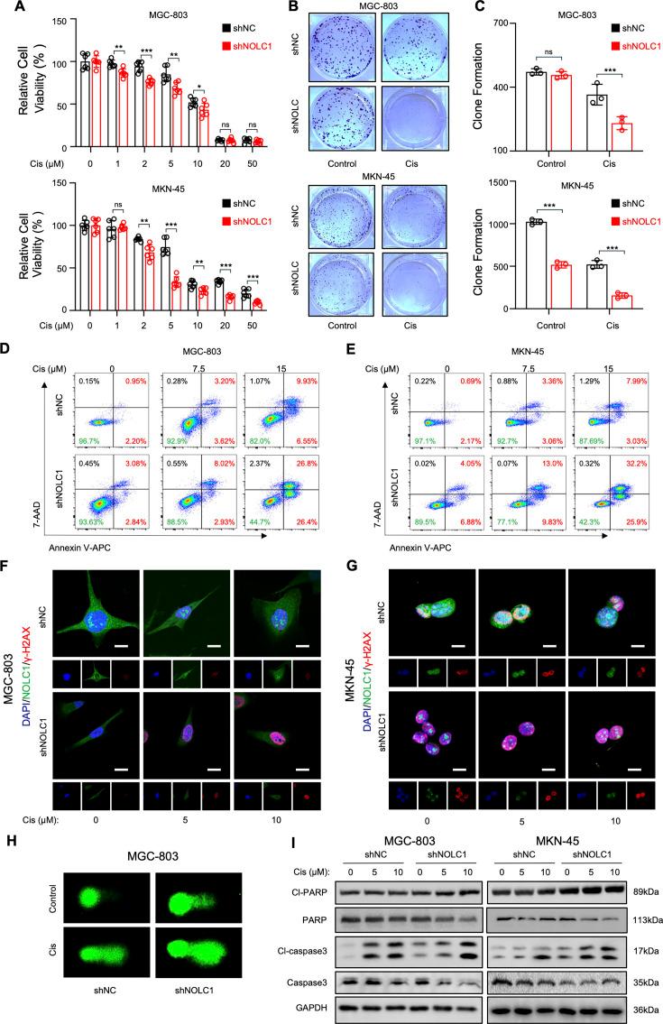 https://cdn.ncbi.nlm.nih.gov/pmc/blobs/ec7f/12387760/16de6e28204c/elife-103904-fig2.jpg