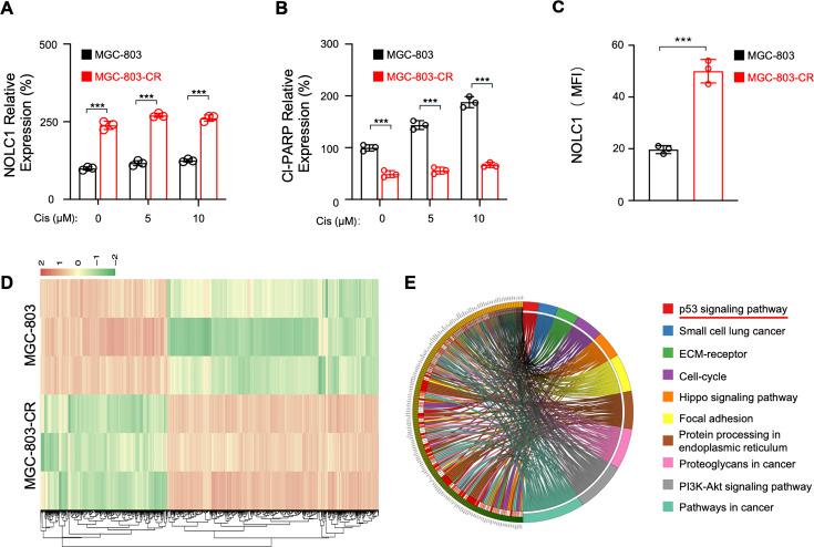 https://cdn.ncbi.nlm.nih.gov/pmc/blobs/ec7f/12387760/179cf16e1326/elife-103904-fig1-figsupp3.jpg