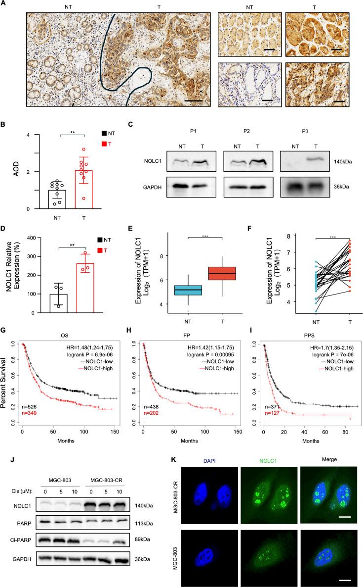 https://cdn.ncbi.nlm.nih.gov/pmc/blobs/ec7f/12387760/796286bf3730/elife-103904-fig1.jpg