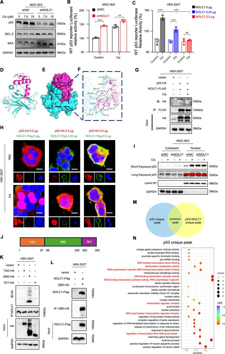 https://cdn.ncbi.nlm.nih.gov/pmc/blobs/ec7f/12387760/d06d1333b147/elife-103904-fig5.jpg