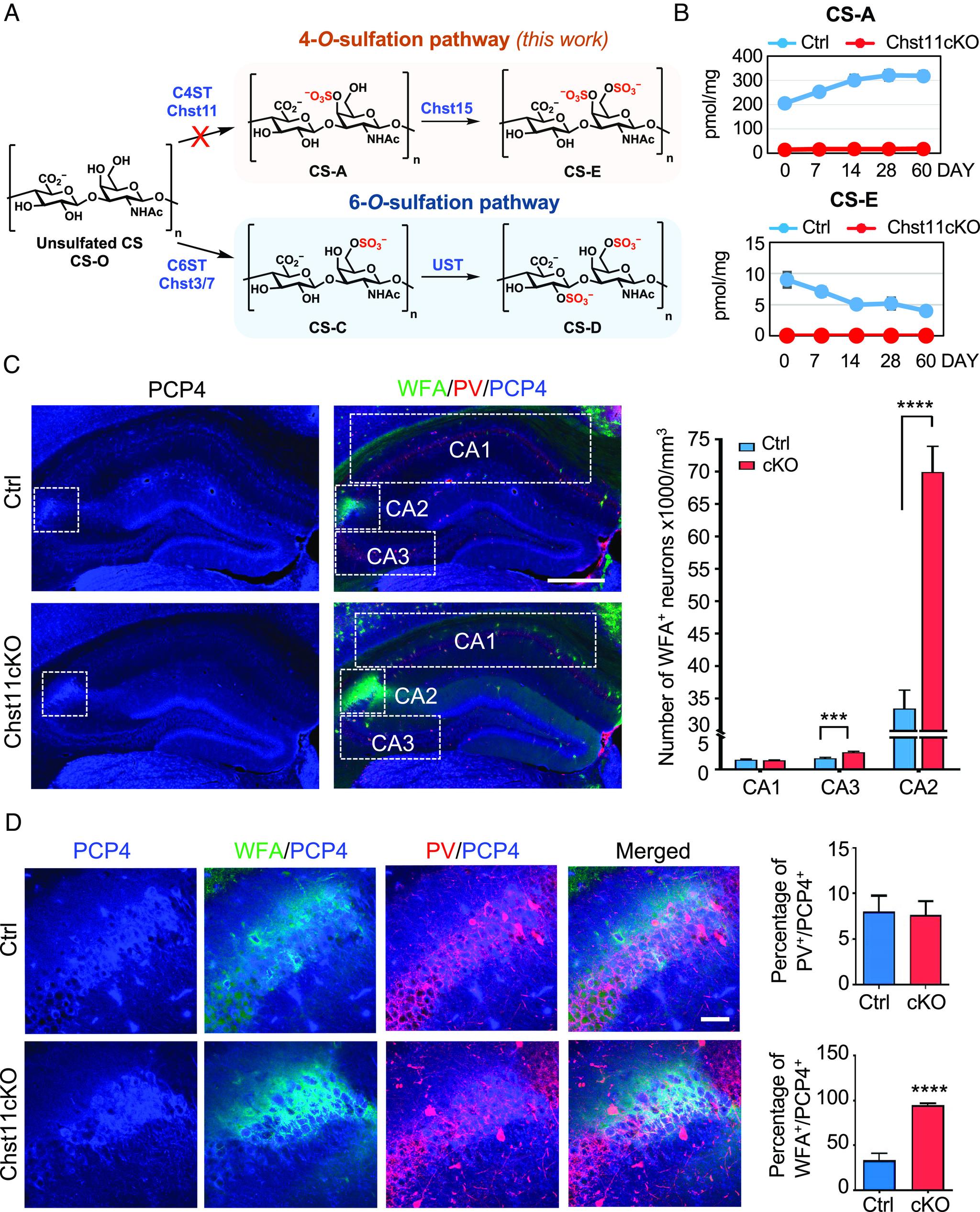 https://cdn.ncbi.nlm.nih.gov/pmc/blobs/ec82/10268298/463092c133b5/pnas.2301312120fig01.jpg