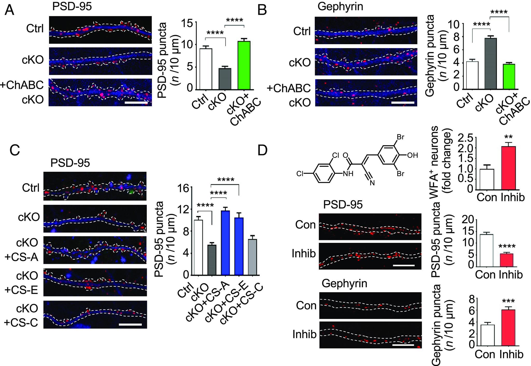 https://cdn.ncbi.nlm.nih.gov/pmc/blobs/ec82/10268298/ff8b8335db55/pnas.2301312120fig03.jpg