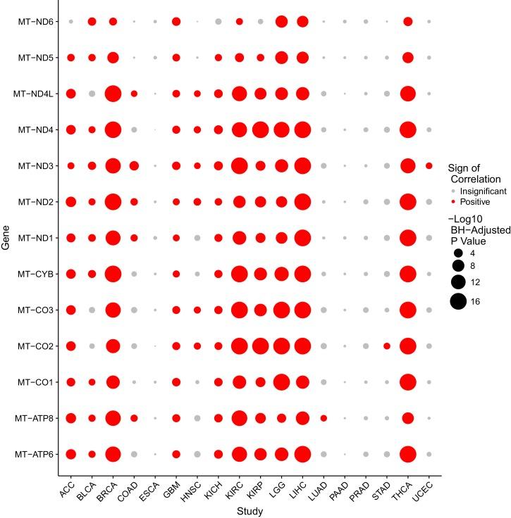 https://cdn.ncbi.nlm.nih.gov/pmc/blobs/ec8c/5243113/49744fcf709e/elife-21592-fig4-figsupp1.jpg