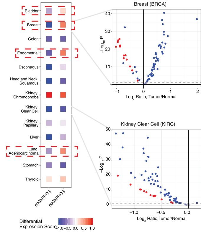 https://cdn.ncbi.nlm.nih.gov/pmc/blobs/ec8c/5243113/7d44c0c4b87b/elife-21592-fig5.jpg