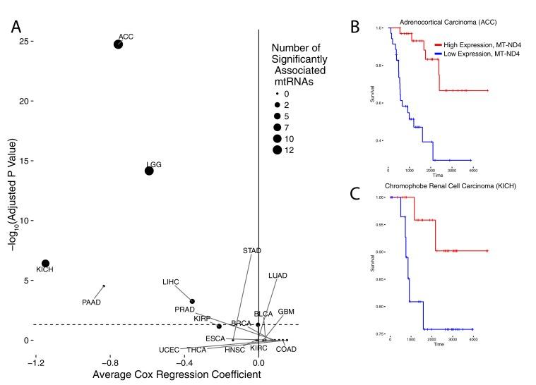 https://cdn.ncbi.nlm.nih.gov/pmc/blobs/ec8c/5243113/f675a6124890/elife-21592-fig3.jpg