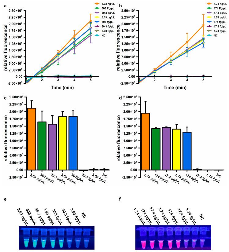 https://cdn.ncbi.nlm.nih.gov/pmc/blobs/ec93/12114085/7218a162a64c/microorganisms-13-00976-g004.jpg