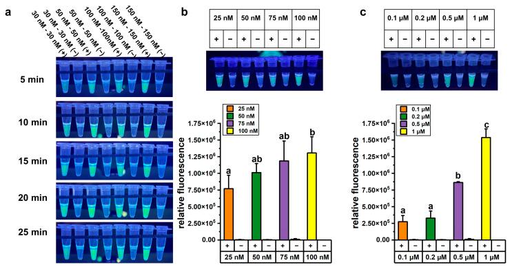 https://cdn.ncbi.nlm.nih.gov/pmc/blobs/ec93/12114085/de3faf5909af/microorganisms-13-00976-g002.jpg