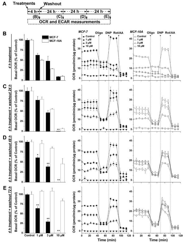 https://cdn.ncbi.nlm.nih.gov/pmc/blobs/eca1/3686663/50b1b3426542/1471-2407-13-285-3.jpg