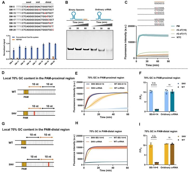 https://cdn.ncbi.nlm.nih.gov/pmc/blobs/eca7/12004117/a47066cfdafa/gkaf287fig4.jpg