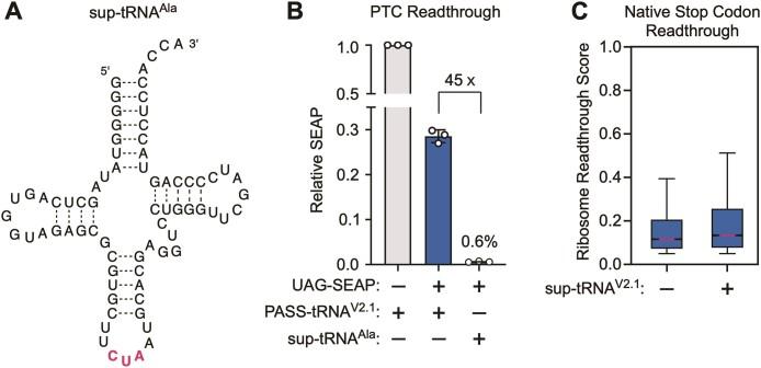 https://cdn.ncbi.nlm.nih.gov/pmc/blobs/ecb6/11662663/5292b8343aa3/gkae1048fig4.jpg