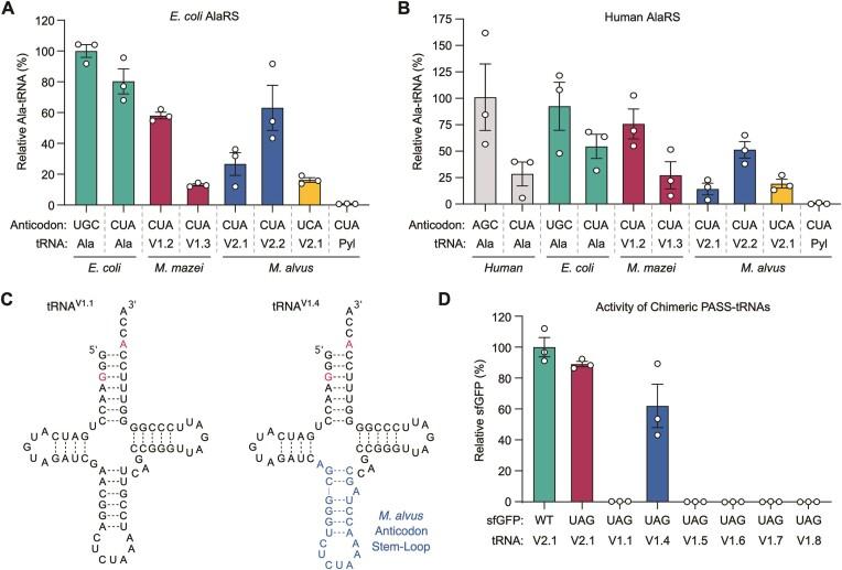 https://cdn.ncbi.nlm.nih.gov/pmc/blobs/ecb6/11662663/869997967c2a/gkae1048fig2.jpg