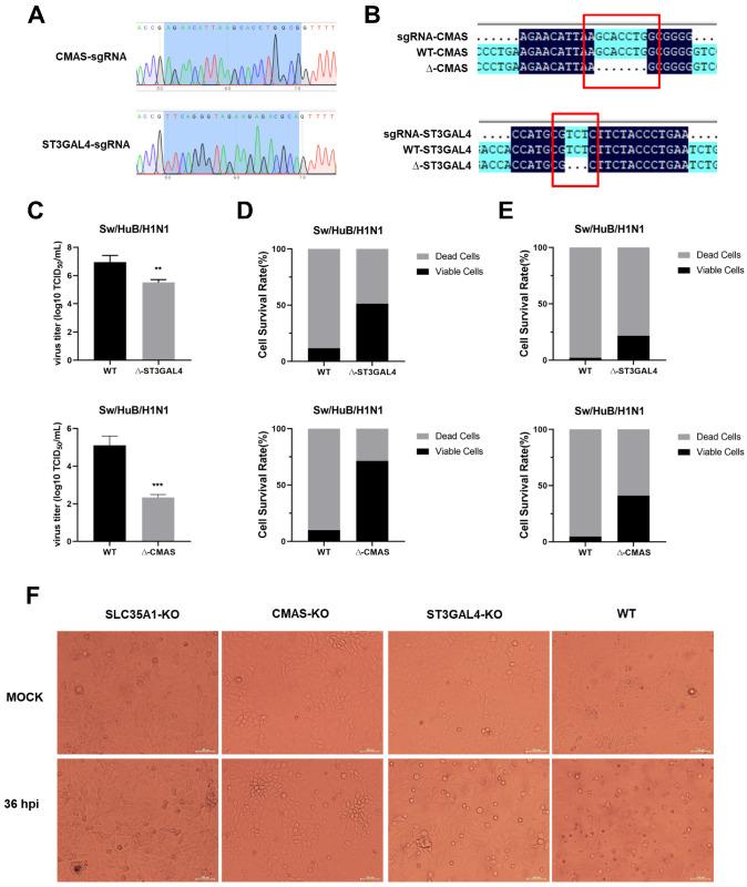 https://cdn.ncbi.nlm.nih.gov/pmc/blobs/ecc4/8200212/9d934d5c0d23/ijms-22-06081-g001.jpg