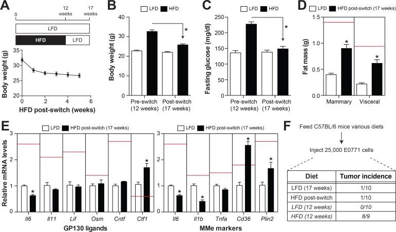 https://cdn.ncbi.nlm.nih.gov/pmc/blobs/eccd/6547867/bfcabf41850e/JEM_20181616_Fig6.jpg