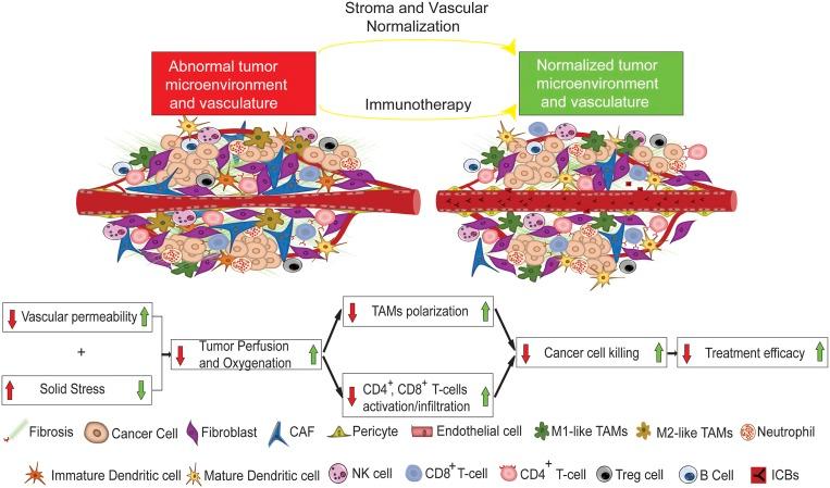 https://cdn.ncbi.nlm.nih.gov/pmc/blobs/ecd6/7035612/806c7a0877b6/pnas.1919764117fig07.jpg