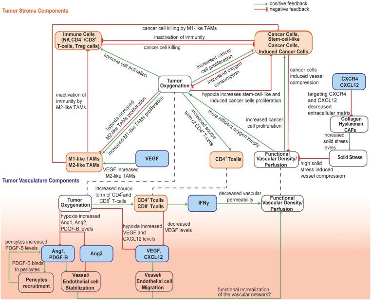 https://cdn.ncbi.nlm.nih.gov/pmc/blobs/ecd6/7035612/a6b85a5affd8/pnas.1919764117fig01.jpg
