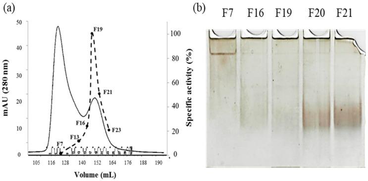 https://cdn.ncbi.nlm.nih.gov/pmc/blobs/ece2/11173892/bddf05921d96/molecules-29-02434-g003.jpg