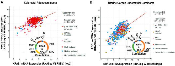 https://cdn.ncbi.nlm.nih.gov/pmc/blobs/ecf0/11274496/04f4a83b6489/cells-13-01221-g007.jpg
