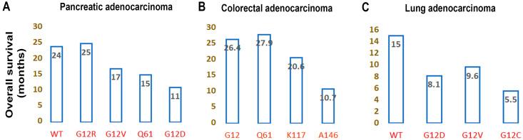 https://cdn.ncbi.nlm.nih.gov/pmc/blobs/ecf0/11274496/c93b59b8a7a0/cells-13-01221-g009.jpg