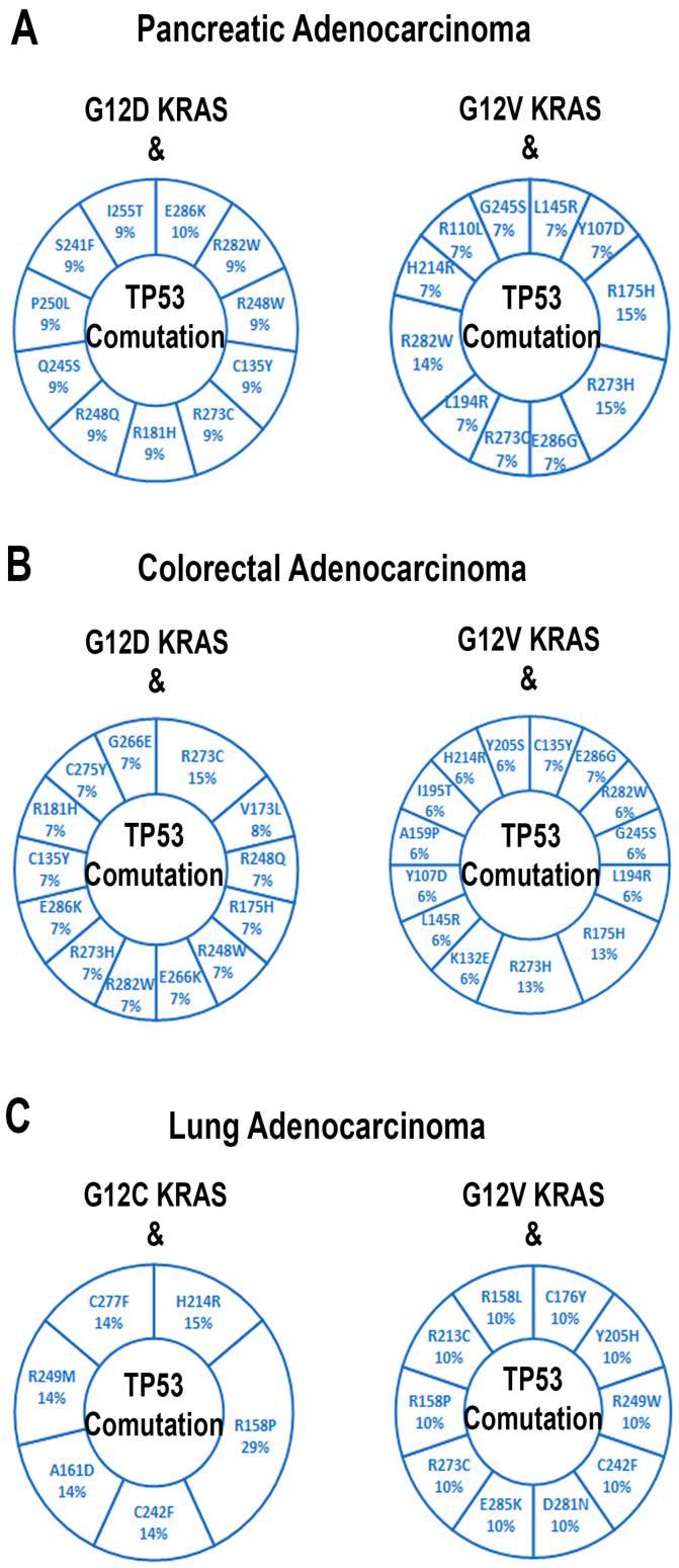 https://cdn.ncbi.nlm.nih.gov/pmc/blobs/ecf0/11274496/d3dacf7387d4/cells-13-01221-g006.jpg