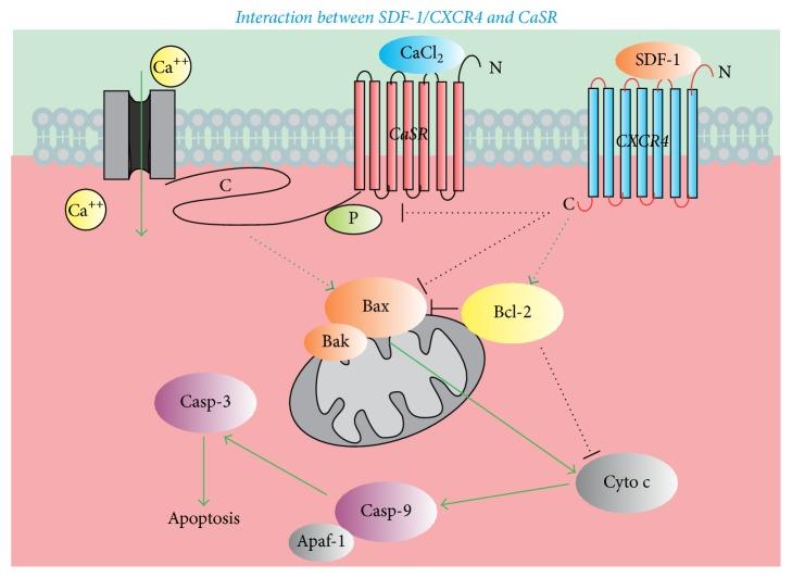 https://cdn.ncbi.nlm.nih.gov/pmc/blobs/ecf6/5820583/0b43963c3187/BMRI2018-8945850.005.jpg