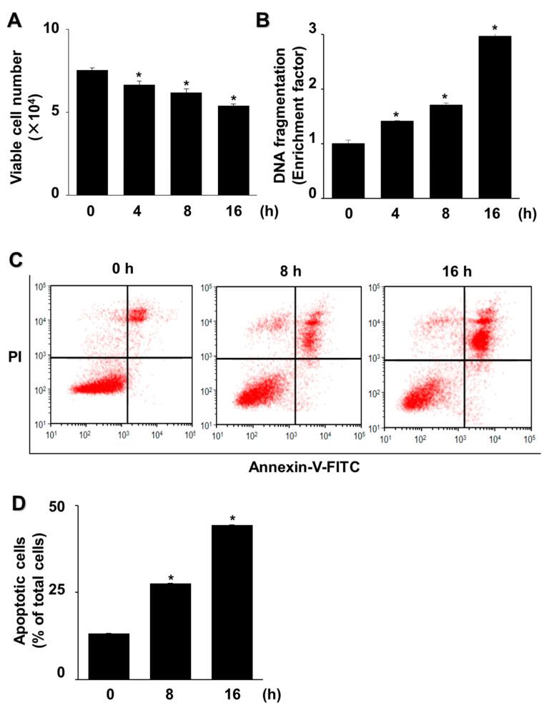 https://cdn.ncbi.nlm.nih.gov/pmc/blobs/ed05/9570747/803e83f8b2ba/nutrients-14-03939-g001.jpg