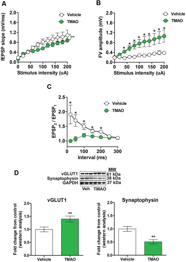 https://cdn.ncbi.nlm.nih.gov/pmc/blobs/ed16/7437142/cd5ca8f545ae/fnmol-13-00138-g0003.jpg