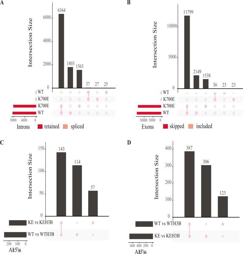 https://cdn.ncbi.nlm.nih.gov/pmc/blobs/ed2f/10415613/38d2f157da66/LSA-2023-01955_FigS7.jpg