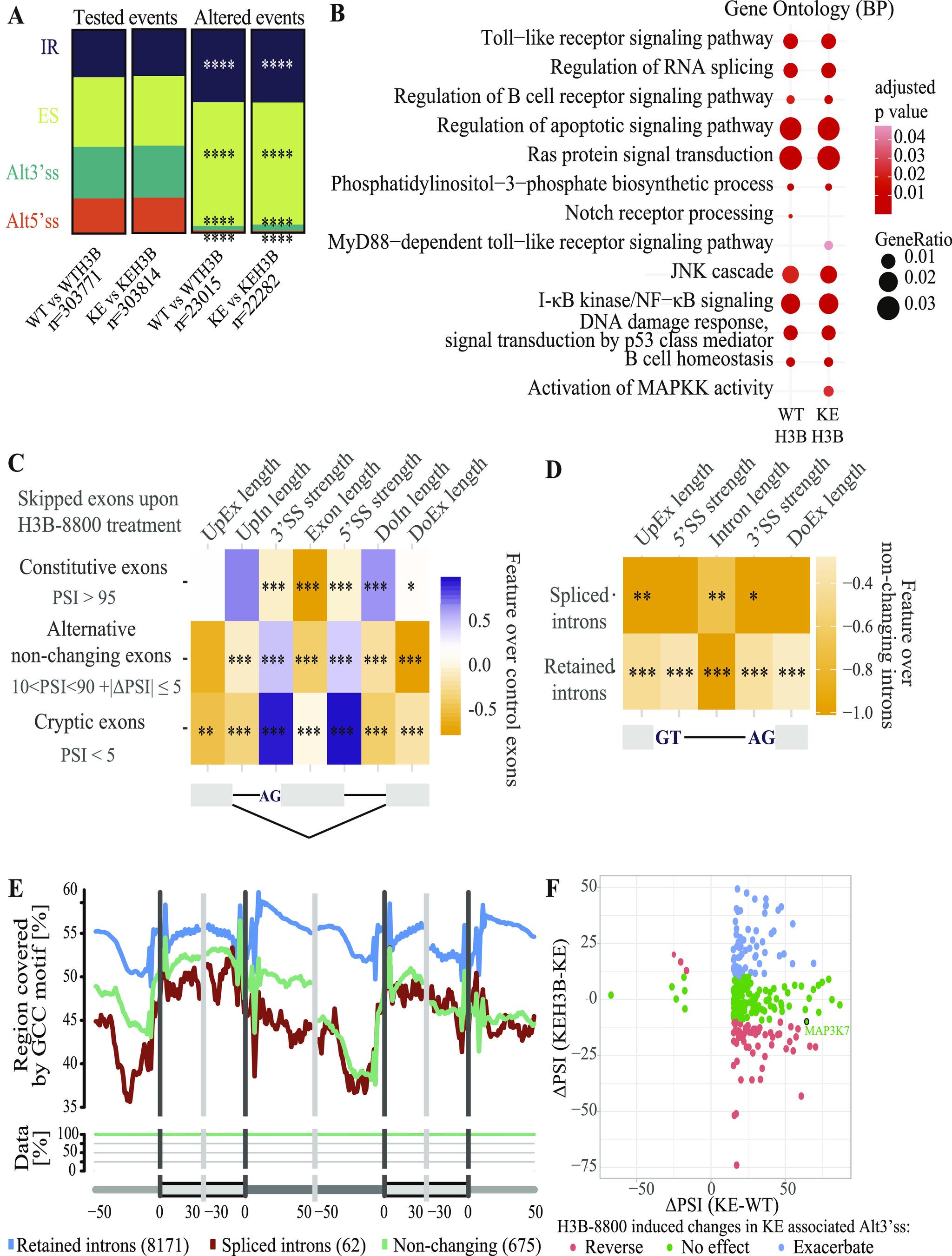 https://cdn.ncbi.nlm.nih.gov/pmc/blobs/ed2f/10415613/a347b44e49ac/LSA-2023-01955_Fig8.jpg