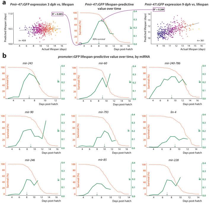 https://cdn.ncbi.nlm.nih.gov/pmc/blobs/ed32/7864635/266e4376992d/elife-65026-fig3.jpg
