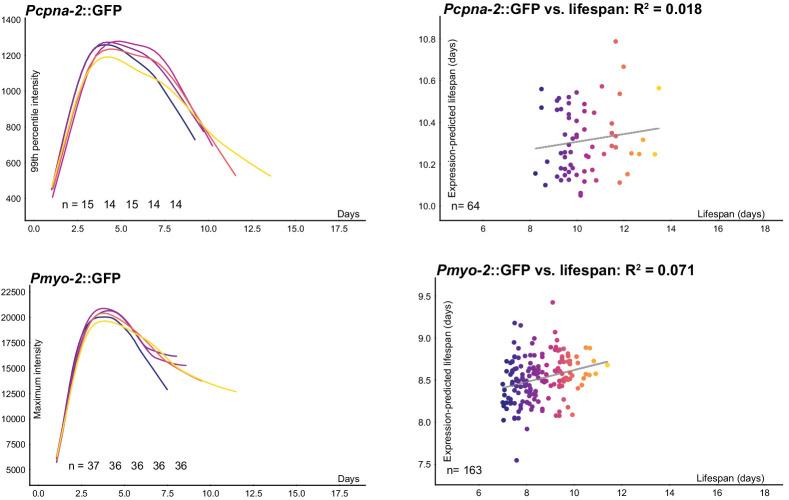 https://cdn.ncbi.nlm.nih.gov/pmc/blobs/ed32/7864635/ba151c3fe45a/elife-65026-fig2-figsupp1.jpg
