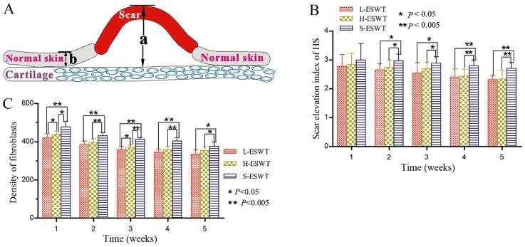 https://cdn.ncbi.nlm.nih.gov/pmc/blobs/ed3e/5810209/d767c69d892a/IJMM-41-04-1931-g00.jpg