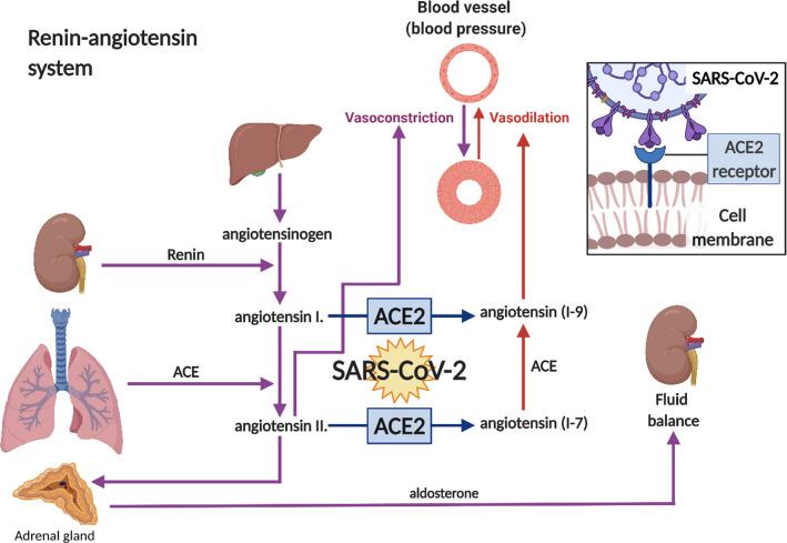 https://cdn.ncbi.nlm.nih.gov/pmc/blobs/ed5f/8278738/bd6b12631951/12987_2021_267_Fig2_HTML.jpg