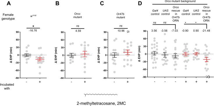 https://cdn.ncbi.nlm.nih.gov/pmc/blobs/ed67/11386958/085278d62c41/elife-96013-fig3.jpg