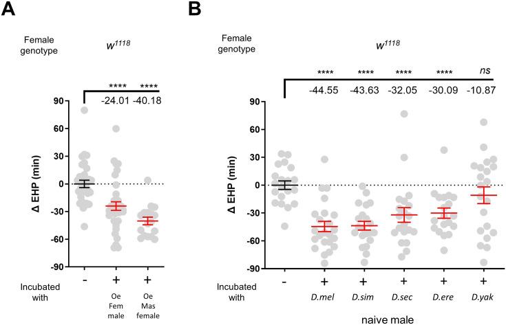 https://cdn.ncbi.nlm.nih.gov/pmc/blobs/ed67/11386958/3fd5f7adabbe/elife-96013-fig3-figsupp2.jpg