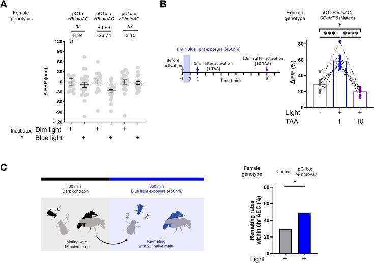 https://cdn.ncbi.nlm.nih.gov/pmc/blobs/ed67/11386958/5db245efa666/elife-96013-fig6.jpg