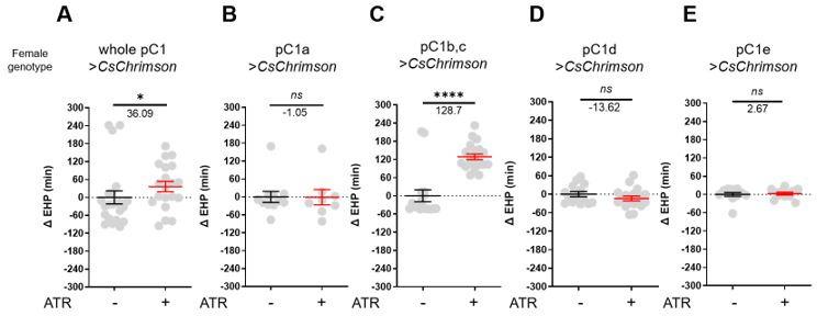 https://cdn.ncbi.nlm.nih.gov/pmc/blobs/ed67/11386958/7520c2468b85/elife-96013-sa3-fig1.jpg