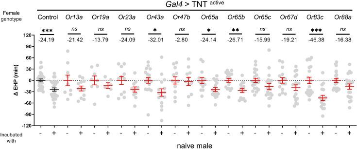 https://cdn.ncbi.nlm.nih.gov/pmc/blobs/ed67/11386958/86dc984f31f7/elife-96013-fig2-figsupp1.jpg