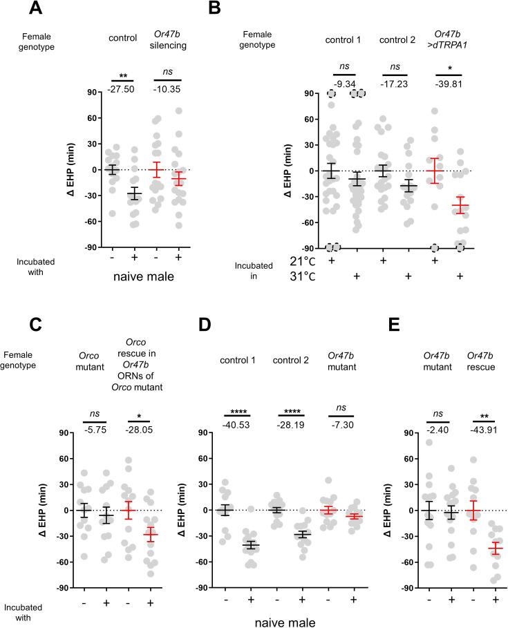 https://cdn.ncbi.nlm.nih.gov/pmc/blobs/ed67/11386958/a226b74eeb3e/elife-96013-fig2.jpg