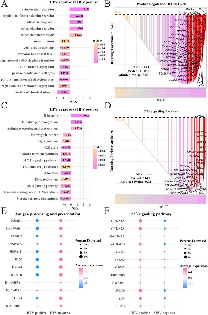 https://cdn.ncbi.nlm.nih.gov/pmc/blobs/ed6f/11438433/b5cc183bc0f2/peerj-12-18158-g002.jpg